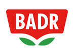 بدر