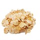 موسیر 100 گرم
